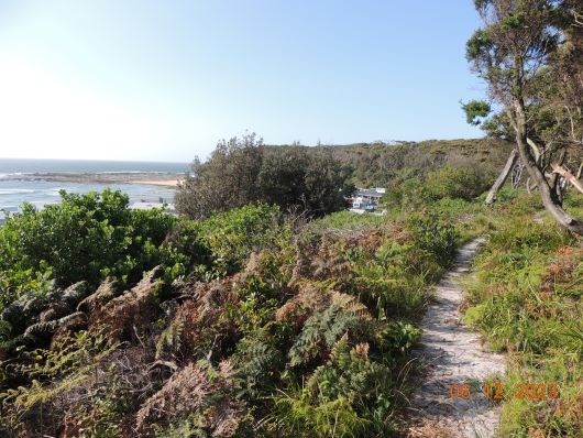 Wyrrabalong National Park